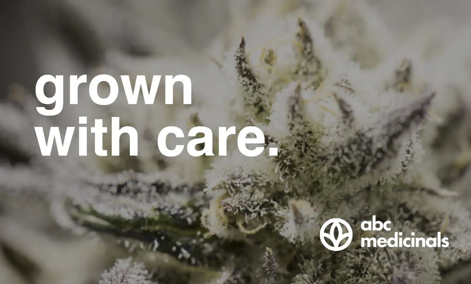 ABC Medicinals-Presentation-Hiilite