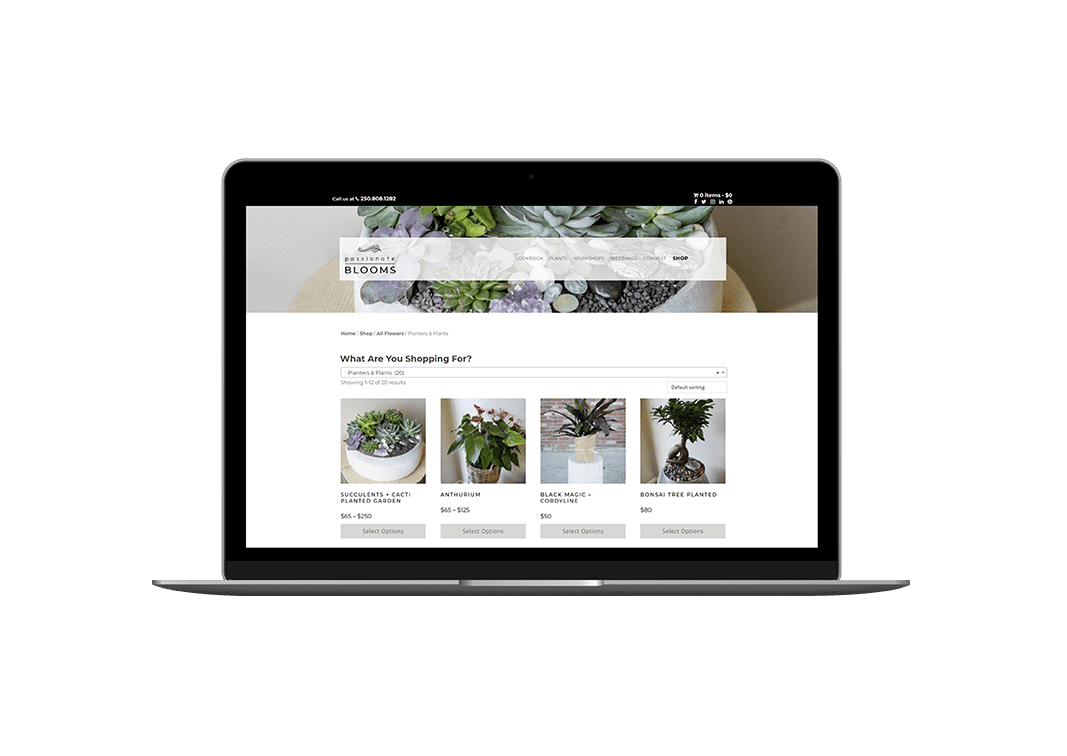 retail marketing and ecommerce website for passionate blooms