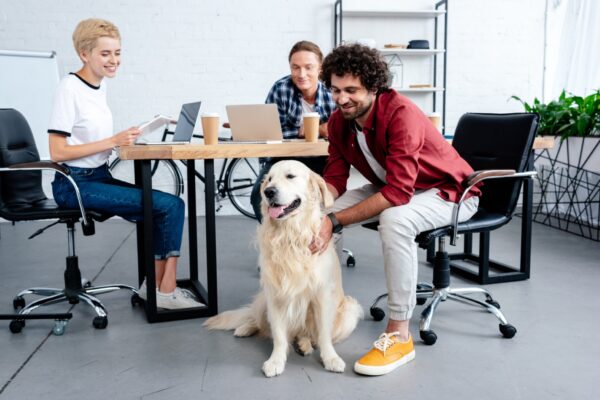 Employees petting a dog while working at a marketing agency in Kelowna